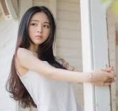公司介绍